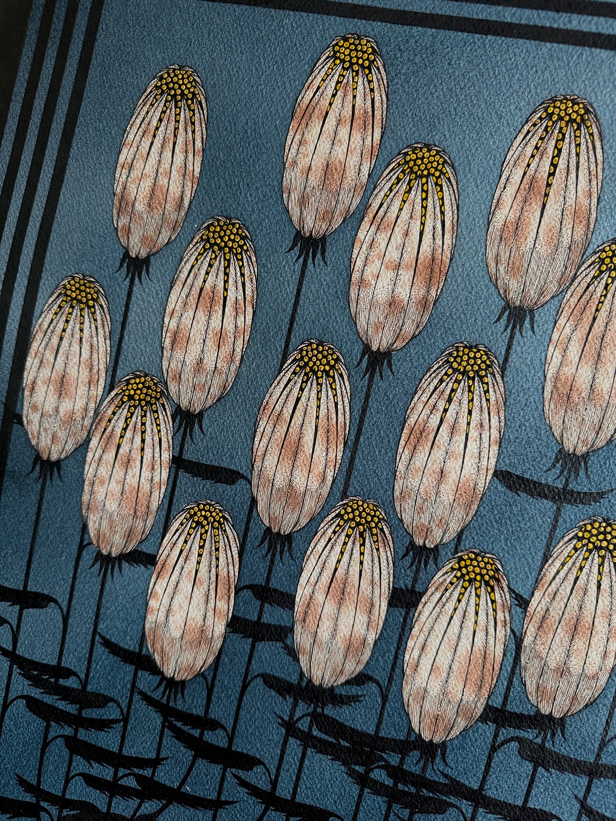 Image of Blue Summer