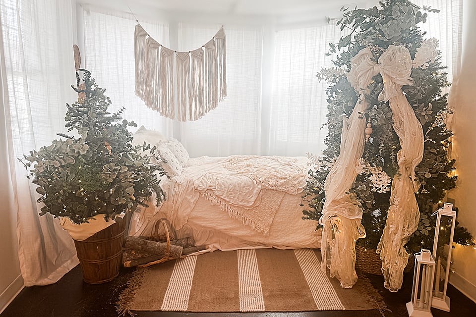 Image of Studio Christmas Minis November 15