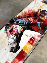 Image 3 of Nyx's FireRun