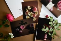 Image 1 of The Hours Card Set