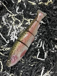 Image 1 of Immortal Trout 7.7 “Bay State Trout”