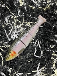 Image 1 of Immortal Trout 7.7 “Copper State Trout”