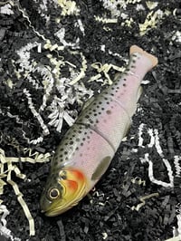 Image 2 of Immortal Trout 7.7 “Copper State Trout”