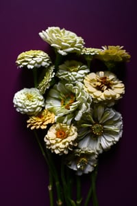 Image 8 of The Hours Card Set