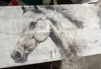 Image 2 of Gemini Dusts