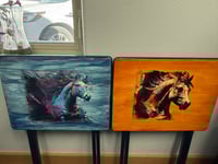 Image 1 of Night Mares & Day Mares