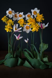 Image 7 of A Year of Grace Card Set