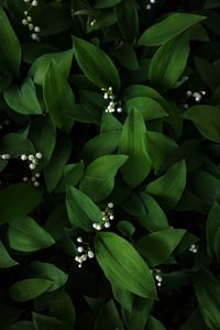 Image 5 of A Year of Grace Card Set