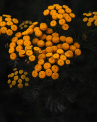 Image 12 of A Year of Grace Card Set