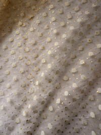 Image 2 of Tulle Cream Spot LA23