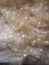 Image 1 of Tulle Cream Spot LA23