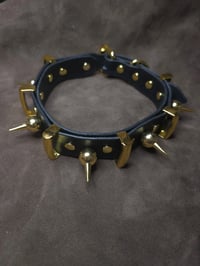 Image 1 of Guard Dog Collar Gold Ready to Ship