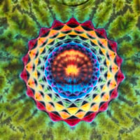 Image 3 of XXXL reptile vortex