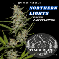 Image 6 of Timberline Select ~ Autoflower Multipack (FEM)