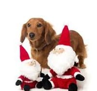 Image 1 of Fuzzyard Fat Santa