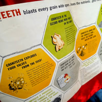 Image 7 of Graniteeth "Bite in the Bird" Advertising Mask + Original Foldout (c 1956-1958)