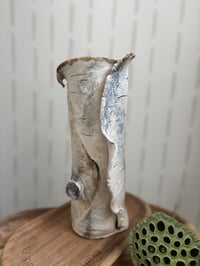 Image 2 of Birch vase 2