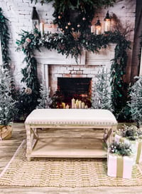 Nov 29 Studio Christmas Micro Mini