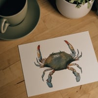 Image 1 of blue crab