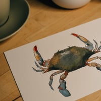 Image 2 of blue crab