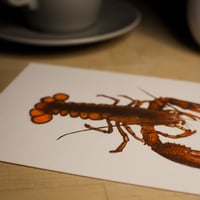 Image 2 of lobster