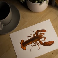 Image 1 of lobster