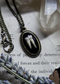 Image 2 of Opossum Tooth Pendant