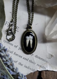Image 4 of Opossum Tooth Pendant