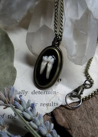 Image 3 of Opossum Tooth Pendant
