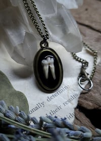 Image 1 of Opossum Tooth Pendant
