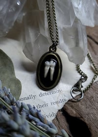 Image 5 of Opossum Tooth Pendant