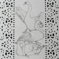 Image 2 of swan artwork