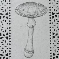 Image 2 of mushroom artwork