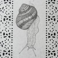 Image 2 of snail artwork