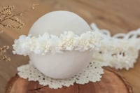 Image 1 of Newborn/Sitter Halo 19