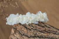 Image 3 of Newborn/Sitter Halo 19