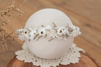 Newborn/Sitter Halo 23