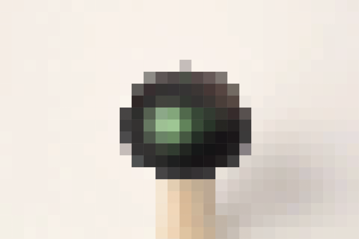 Image of Magic Mushroom