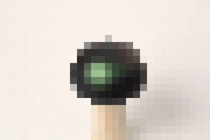 Image of Magic Mushroom