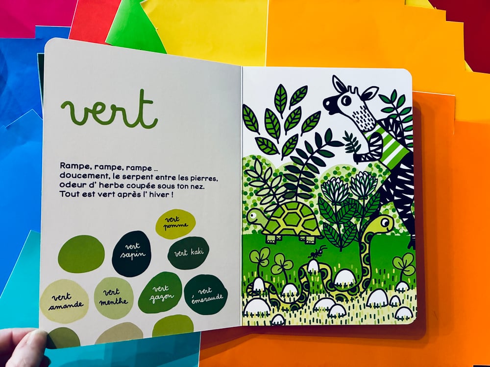 Image of Tout est couleur ! 