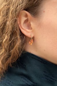 Image 3 of HOOP MINI BAMBY