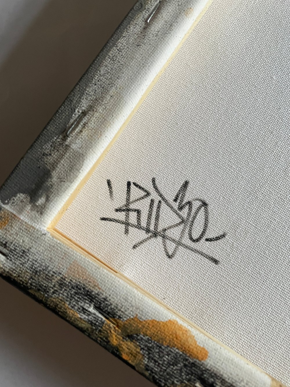 I HATE HUMANS  book cover canvas 