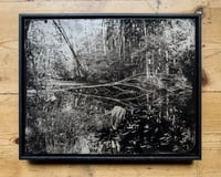 Image 1 of Mühlenteich | Original Tintype Silver Photograph | 11x14"