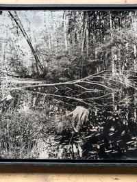 Image 4 of Mühlenteich | Original Tintype Silver Photograph | 11x14"