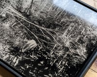 Image 5 of Mühlenteich | Original Tintype Silver Photograph | 11x14"
