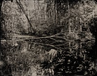 Image 2 of Mühlenteich | Original Tintype Silver Photograph | 11x14"