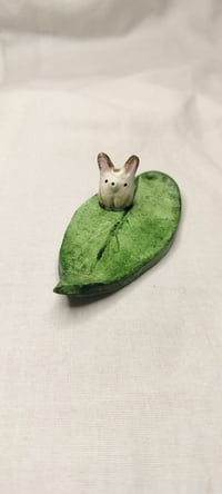 Image 2 of Pupu korulautanen