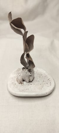 Image 1 of Naali korulautanen