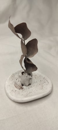 Image 2 of Naali korulautanen