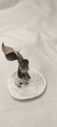 Image 3 of Naali korulautanen